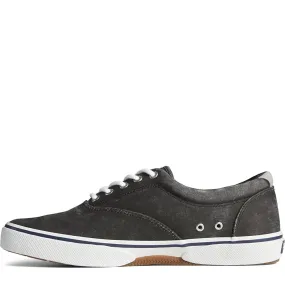 Halyard CVO Sneaker - Men