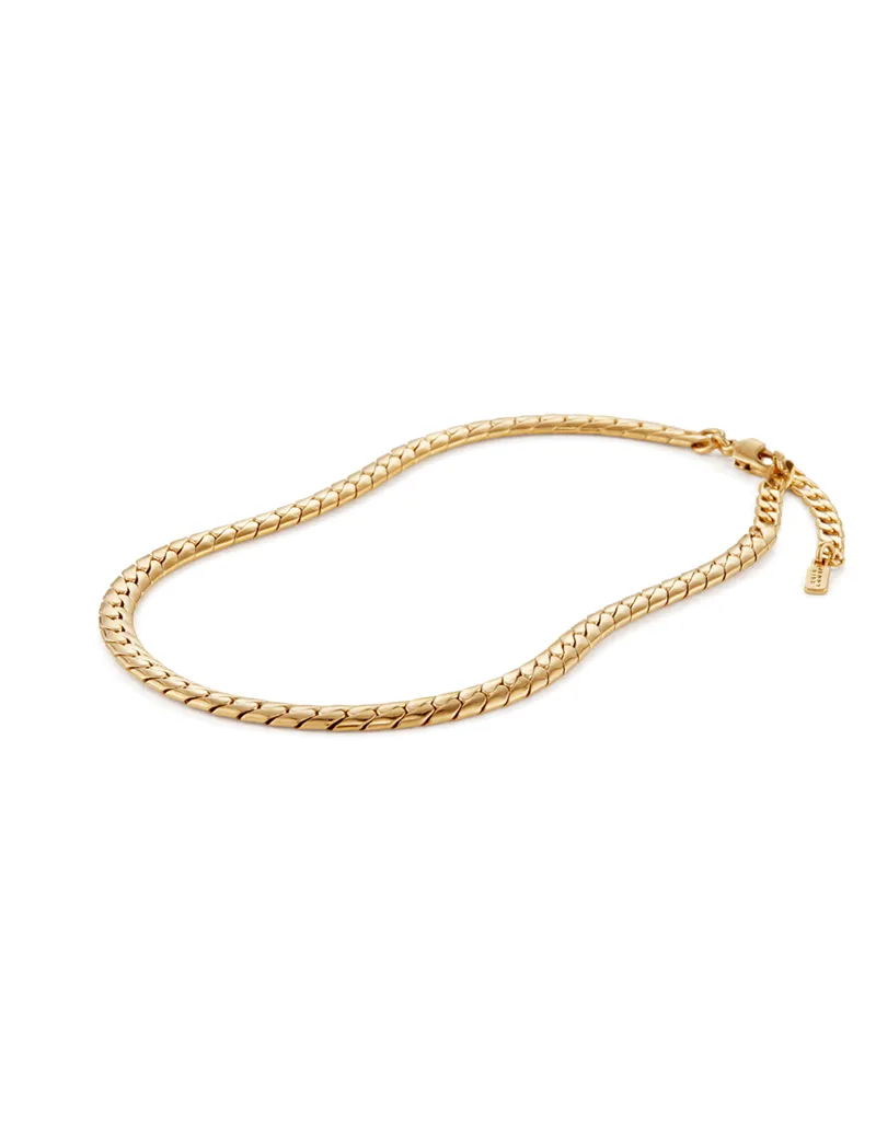 Jenny Bird Priya Anklet - Gold